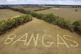 Aerial view of hundreds of sheep in a field forming the words Ban Gas.