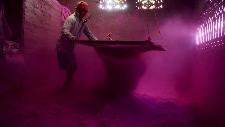 An Indian labourer sifts coloured powder, known as gulal, inside a factory on the outskirts of Siliguri.