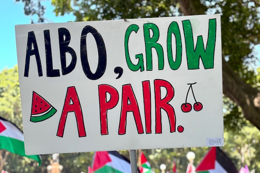 Woman wearing keffiyeh and holding sign that reads, 'Albo, grow a pair' with a cartoon of two cherries, and a watermelon.
