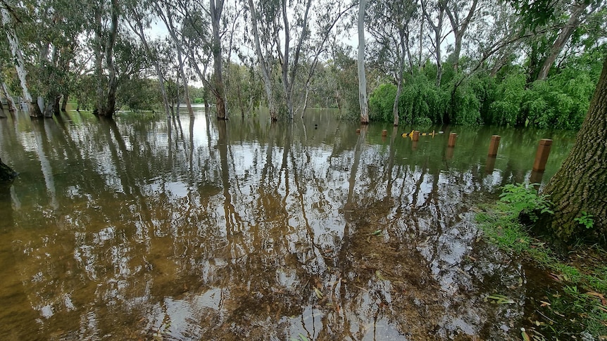 A park inundated with water 