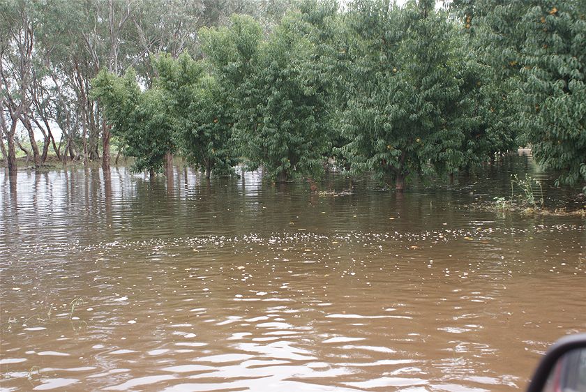 Winners and losers from the floods - ABC listen