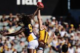 Flying high: Eagles ruckman Nic Naitanui (23 hit-outs) contests the ball against Brent Renouf.