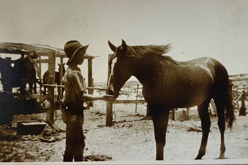 A black and white photo of a young boy feeding a horse. He wears a large wide brimmed hat. 