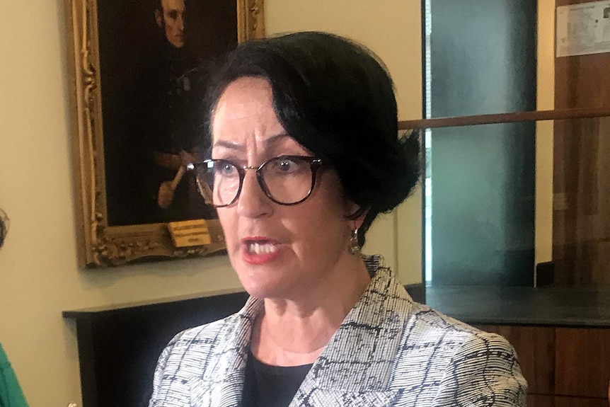 Deputy SA Liberal leader Vickie Chapman talks to the media. November 28, 2017.