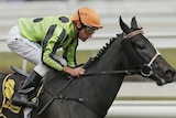 Oliver storms home on Commanding Jewel