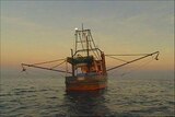 Government wins commercial fishing case