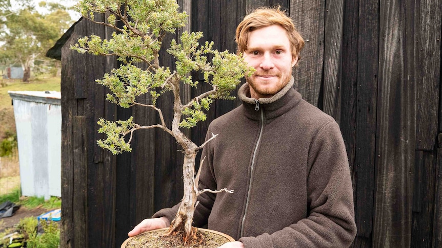 A man holding a tree in a pot