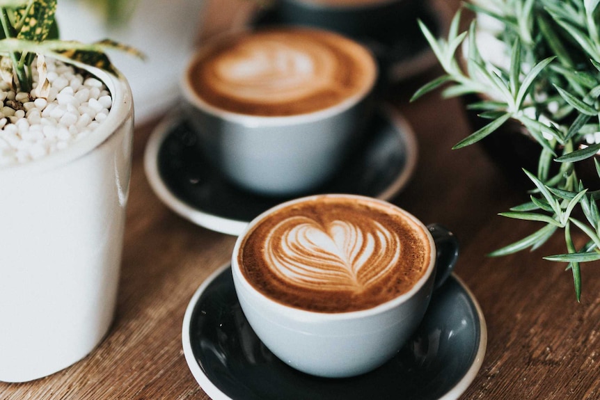 Three coffees on a table surrounded by pot plants