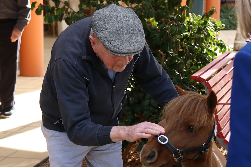 Elderly man pats miniature horse.