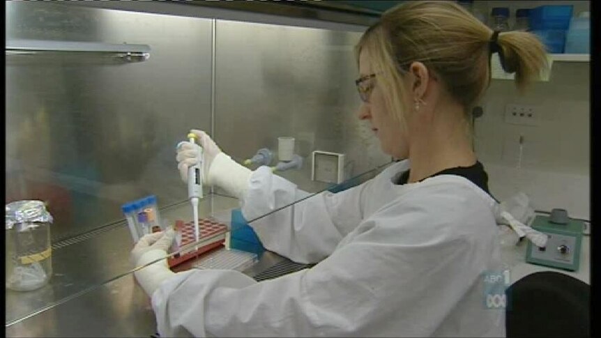 Genetic tests spark discrimination fears