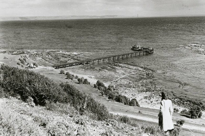 Black and white photo of a jetty in the distance. A woman stands on hill looking down to the ocean.