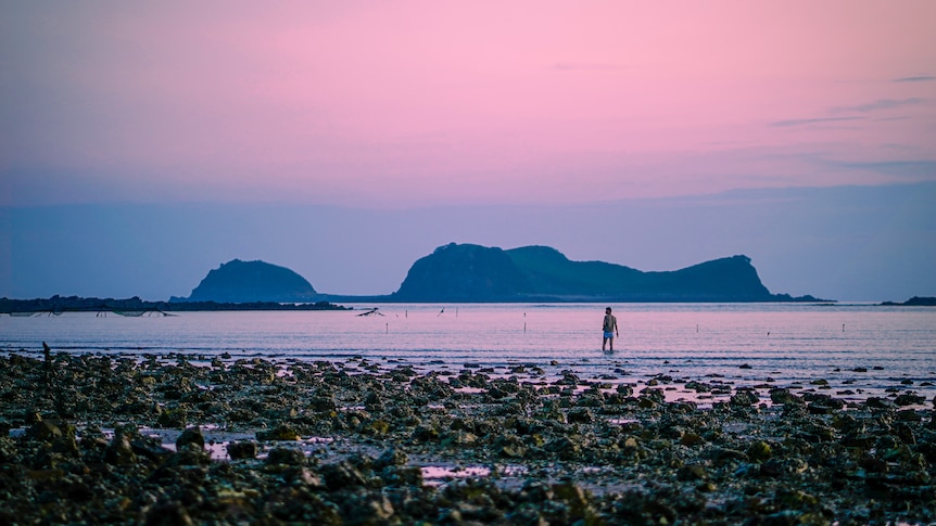A man ankle-deep in water on a beach with the sky turning pink at sunset 