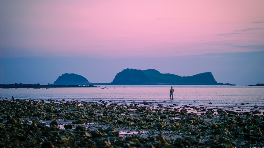 Un uomo arriva alle caviglie nell'acqua sulla spiaggia e il cielo si tinge di rosa al tramonto 