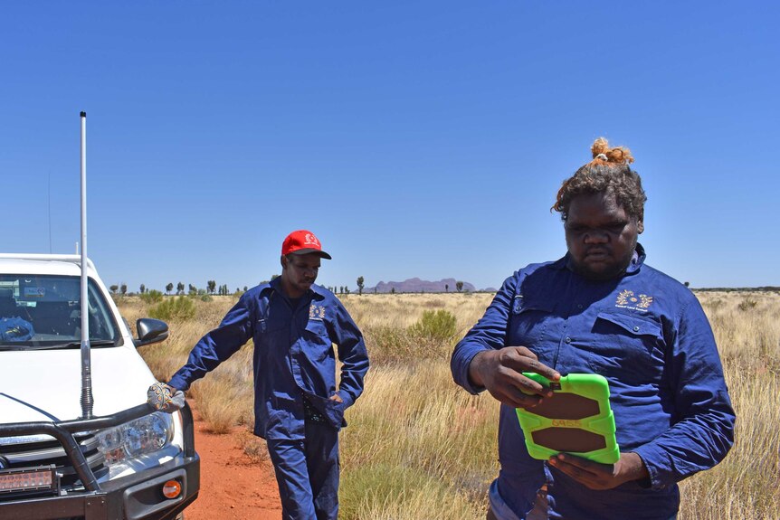 Two aboriginal rangers standing by a car with at tablet tracking animals.