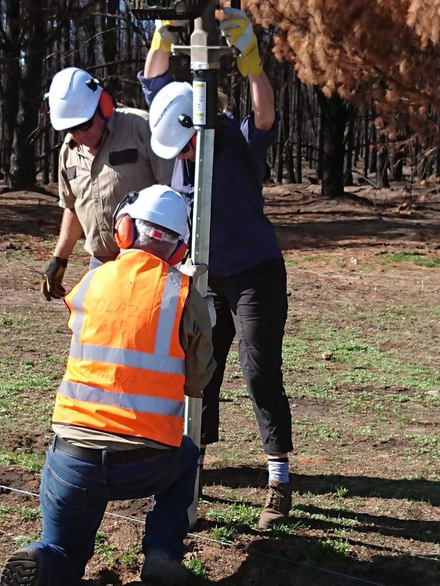 A woman driving a post hole digger into the ground as two men assist in holding the post.