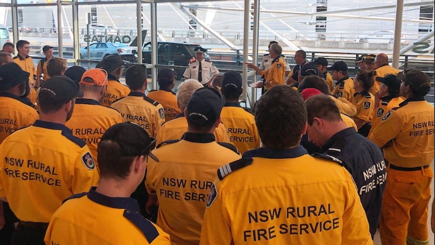 A group of NSW firefighters at the airport, heading to Queensland.
