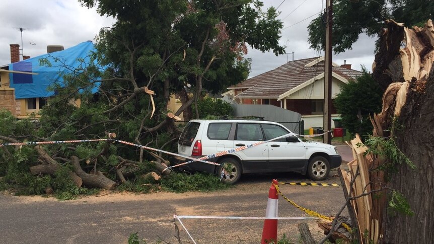 A tree falls on a house and car at Prospect.