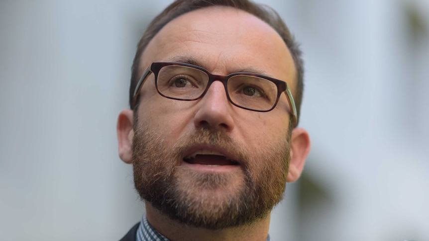 Australian Greens MP Adam Bandt