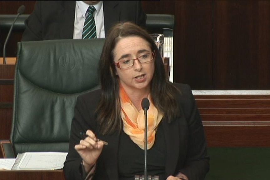 The Deputy Opposition Leader Michelle O'Byrne in State Parliament.