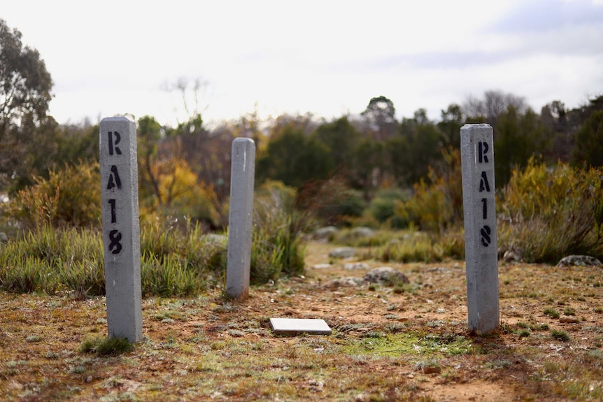 Three poles marked 'RA18' stand on a hilltop.