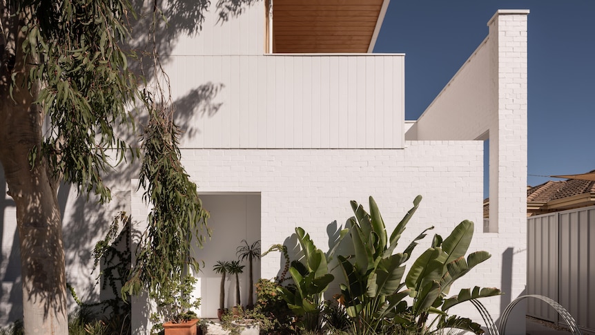 A white modern designed house with gum trees out the front. 