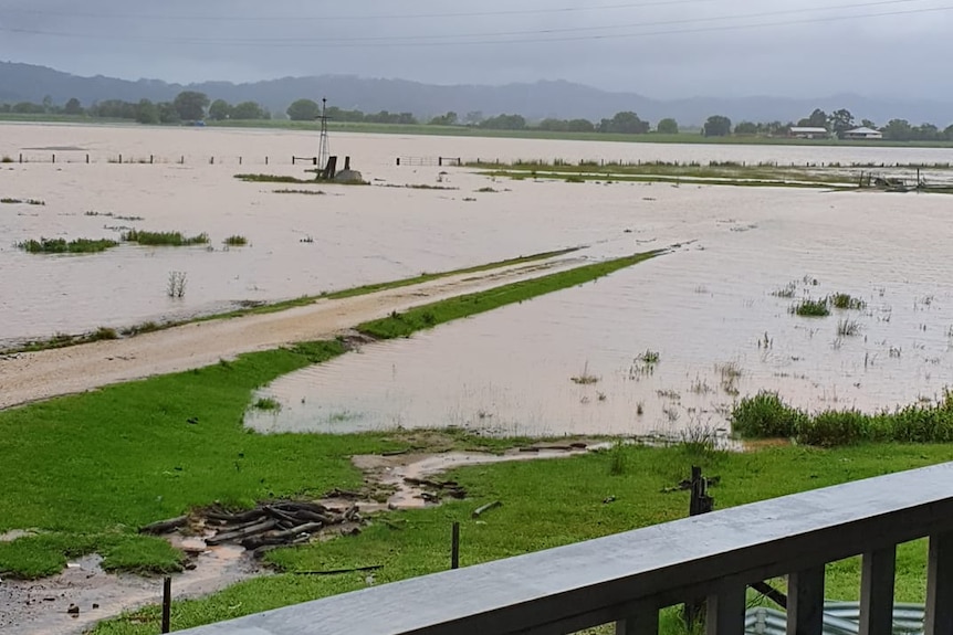 A flooded property at Murwillumbah on the Tweed River.