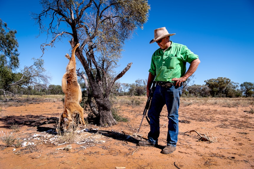 Boyd Webb stands with one hand on his hip and another on a shotgun, looking down at a pile of bones under a tree with a dead d