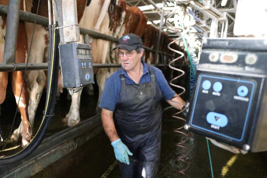 Graeme Hamilton in the shed on the farm