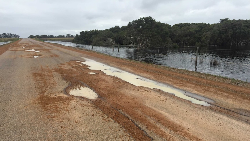 A road at Gibson, 20km north of Esperance.
