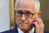 Malcolm Turnbull scratches his face