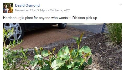 Facebook post offering up free plants.