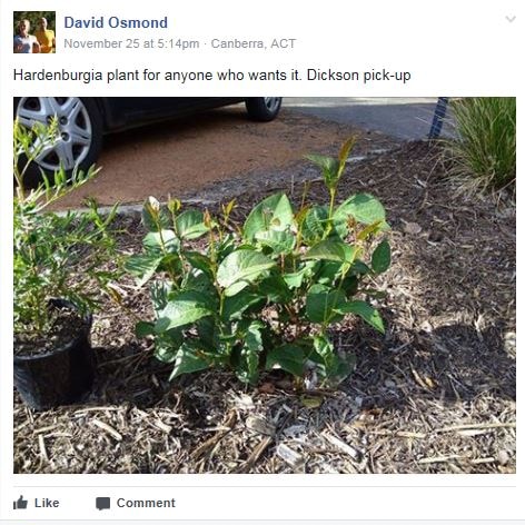 Facebook post offering up free plants.