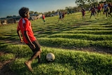 A child kicks a soccer ball to a larger group