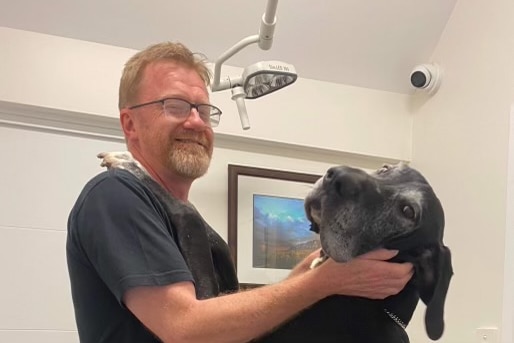 A vet with a large grey dog.