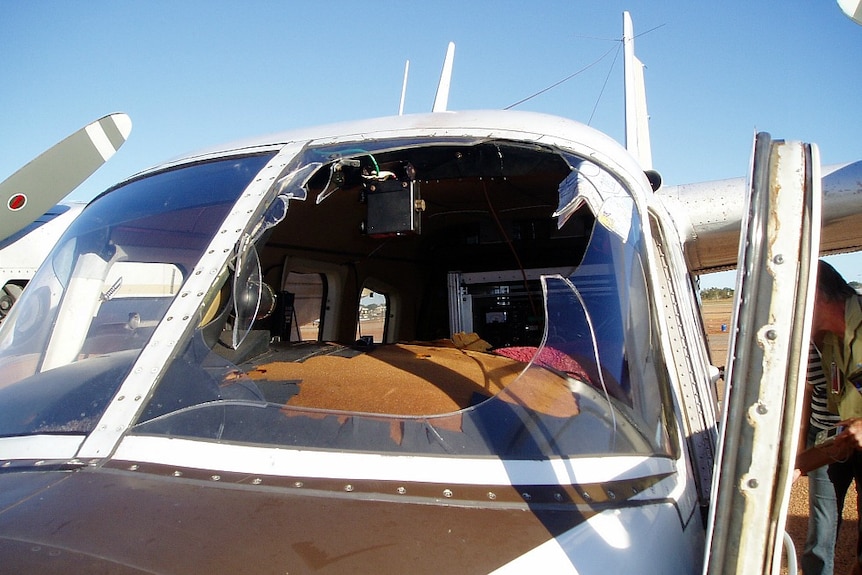 Bird smashes through cockpit