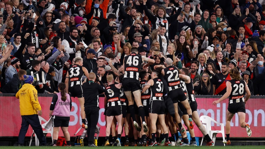 A massive group of Collingwood players congregate on the boundary line in front of celebrating fans