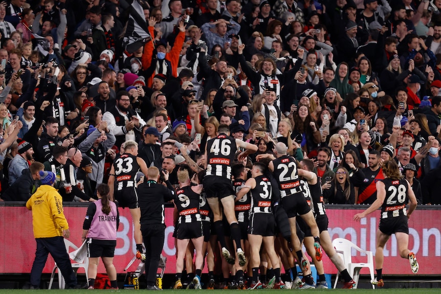 A massive group of Collingwood players congregate on the boundary line in front of celebrating fans