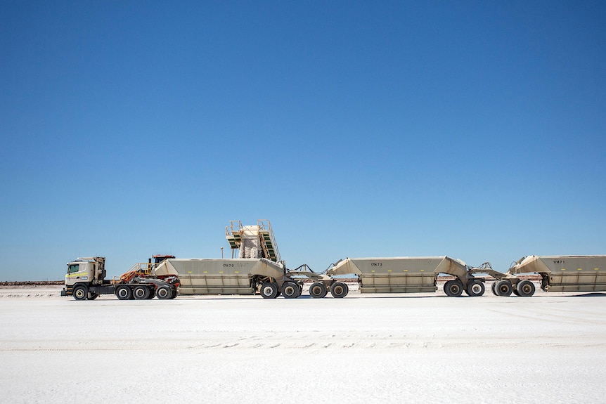 A triple road train on a salt flat with a loader depositing salt into the first trailer