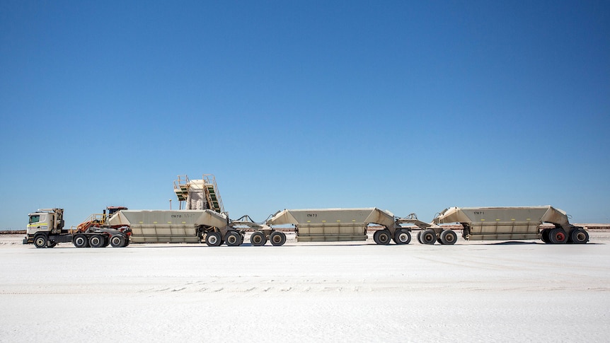A triple road train on a salt flat with a loader depositing salt into the first trailer