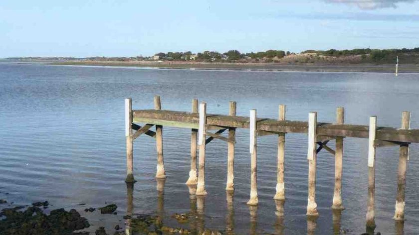 Federal money will help with re-engineering SA's lower lakes (file photo)
