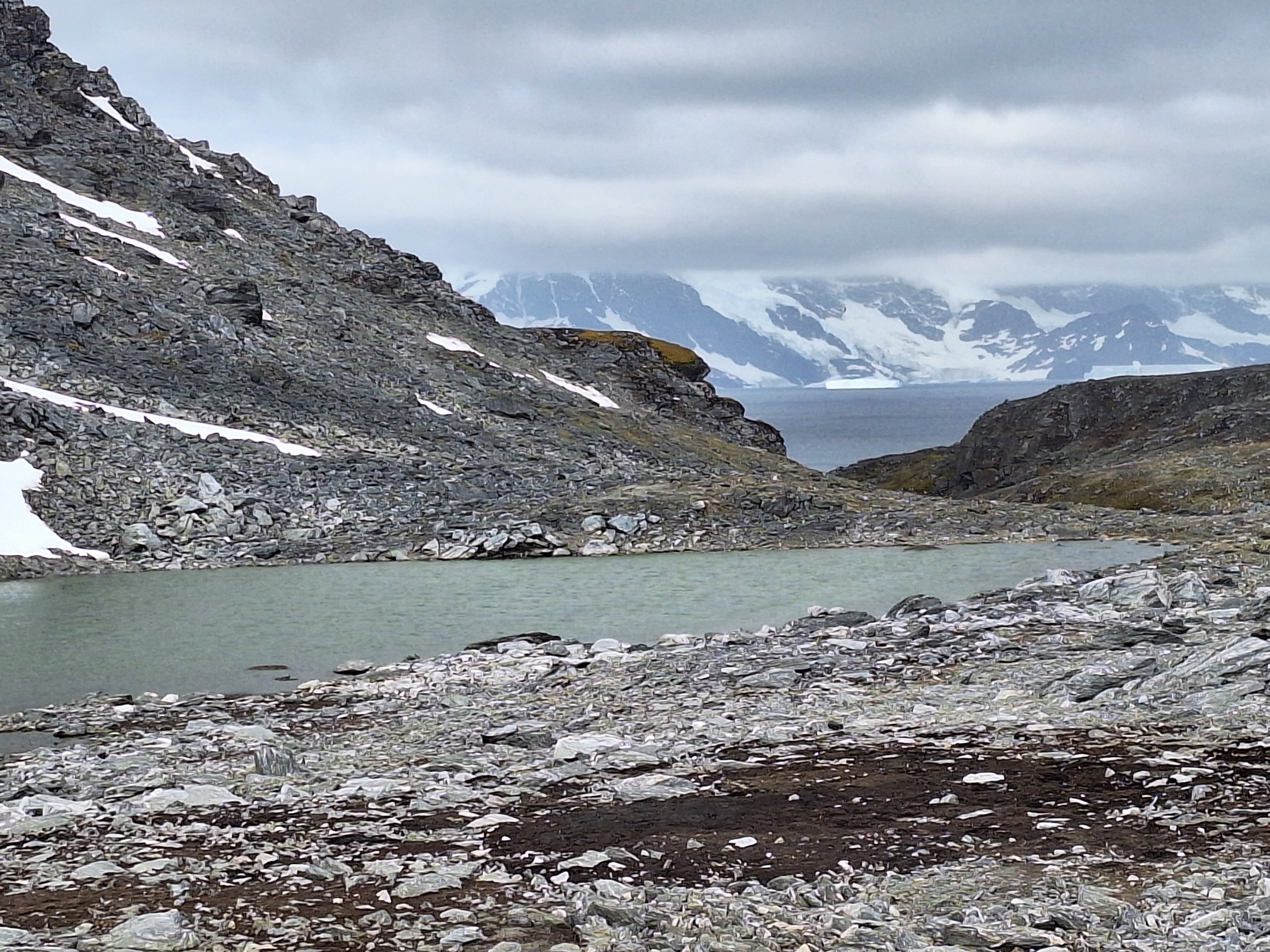 Una costa rocosa con manchas de nieve y musgo y montañas cubiertas de nieve al fondo.