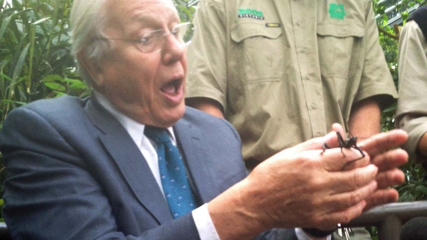 David Attenborough at Melbourne Zoo with stick insect