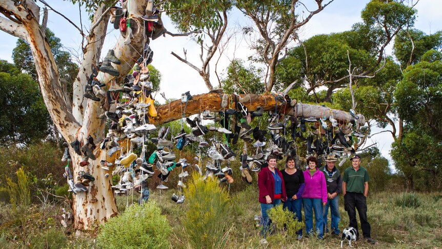 large tree with hundreds of pairs of shoes hanging over it's branches with three men and two women posing in front