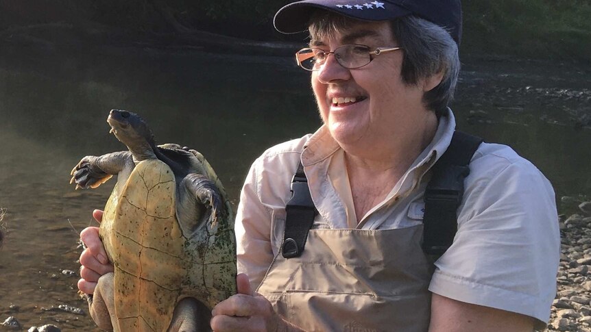 Marilyn Connell, Leader of the Tiaro Landcare Group, inspecting a Mary River Turtle.