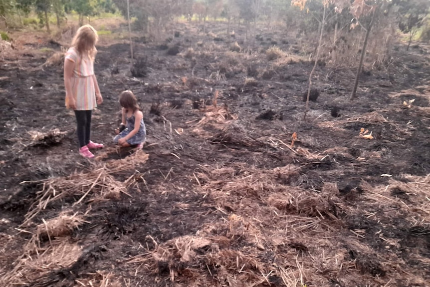 Two children stand on burnt grassy ground 