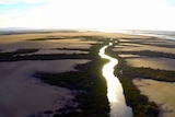 Fitzroy Delta wetlands region near Rockhampton in central Qld