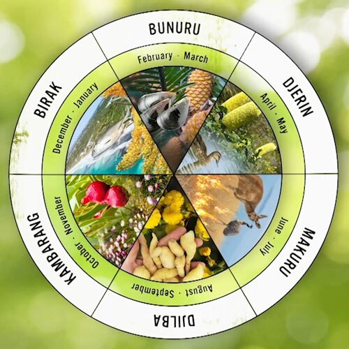 Costa's Corner | 1st September 2023 - Gardening Australia