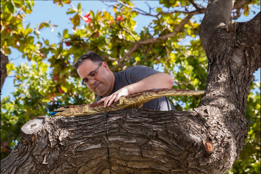 A man climbs a tree to install a piece of art made of Lego
