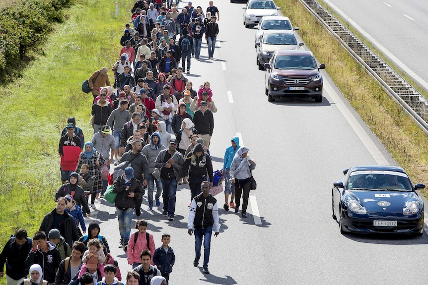 A large group of migrants, mainly from Syria, walk on a highway towards the north