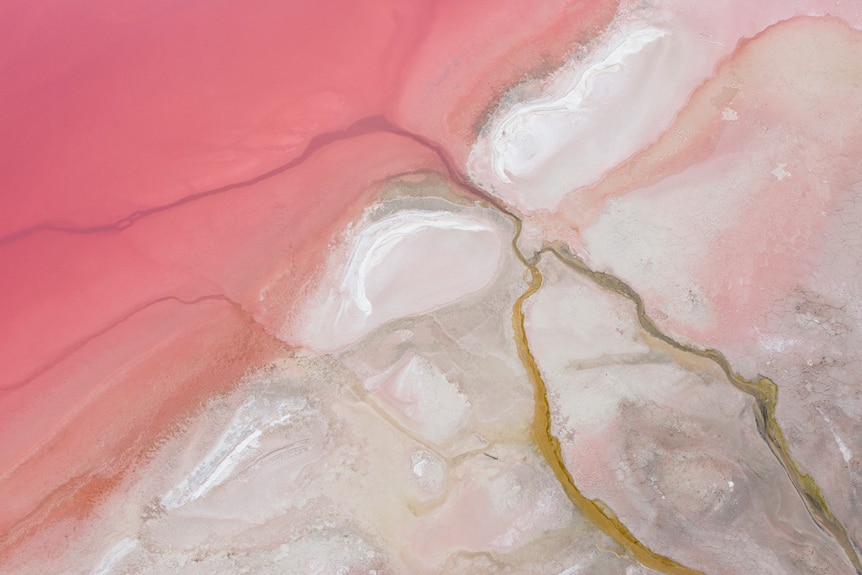 Aerial shot of Hutt Lagoon, in Western Australia's Mid-West region.